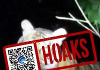 Harimau Berkeliaran Gegerkan Warga Madura, Cek Fakta