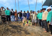 Distan Banjar Tanam Padi Gogo Bersama Warga Paramasan