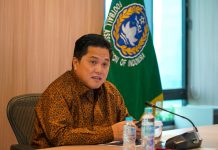 PSSI Akan Umumkan Dirtek Timnas Indonesia, 3 Nama Dicoret?