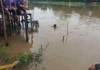 Korban Tenggelam di Sungai Rangas Hambuku Ditemukan