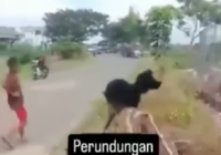 Video Viral Perundungan Gadis ABG Rebutan Pacar di HSS Berujung ke Polisi