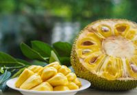 Jarang Diketahui Manfaat Nangka bagi Kesehatan, Baik untuk Jantung Hingga Tulang