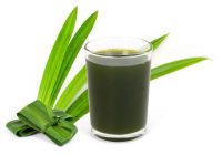 Tak Disangka! Manfaat Daun Pandan, dari Jaga Gula Darah Hingga Atasi Sulit Tidur