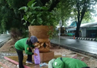 Pasukan Hijau Kota Banjarbaru Sisir Sampah Sisa Kegiatan Sekumpul
