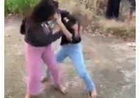 Viral Duel Dua Wanita Bawa Sajam