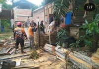 Pohon Tumbang di Desa Jungkal Rusak 2 Rumah Warga