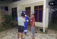 BPBD Balangan Evakuasi Sarang Lebah Madu