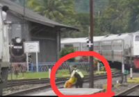 Aksi Heroik Petugas Rel Kereta Api Saat Bocah Hampir Tertabrak Kereta