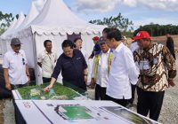 Presiden Tinjau Training Center PSSI di IKN, Mei 2024 Ditarget Selesai