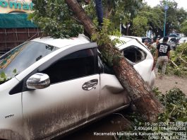 Ditinggal Beli Tiket Bus, Avanza Jalalludin Penyok Ditimpa Pohon Depan Masjid Al Karomah Martapura