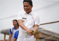 Pemkab Balangan Gelar Aksi Jumat Bersih, Bupati Abdul Hadi Turut Cabuti Rumput Liar