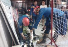 Warga Jalan Gedang Digegerkan Temuan Ular