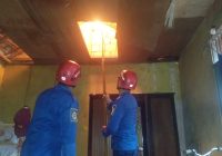 Lebah Madu Bersarang di Plafon Rumah Warga di Indra Sari