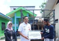 Bank Kalsel Serahkan Satu Ekor Sapi untuk Dapur Umum Haul Abah Guru Sekumpul di Banjarbaru