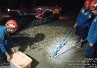 Temuan Ular Gegerkan Warga Desa Padang Panjang