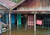 Puluhan Rumah Terendam Banjir di Desa Banyu Tajun Tabalong
