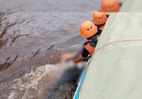 WNA Myanmar yang Tenggelam di Sungai Barito Akhirnya Ditemukan