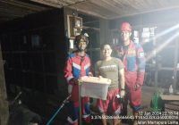 Ular Piton 1 Meter Berkeliaran di Dapurnya di Martapura Barat Bikin Muhammad Yusuf Resah