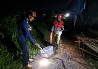 Tengah Malam, Petugas DPKP Banjar Evakuasi Ular Kobra Sembunyi di Bawah Lemari Paridah