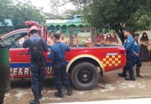 Anjing Liar Berkeliaran di SMPN 2 Martapura