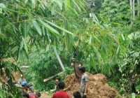 Tanah Longsor, 3 Tiang Listrik Roboh di Desa Paramasan Atas