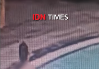 Beredar Video Detik-detik Pacar Tamara Tyasmara Tenggelamkan Dante
