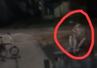 Monyet Datangi Mushola di Sungai Andai, Warga Terkurung