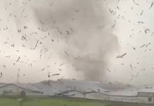 BKMG Tegaskan Angin Kencang di Rancaekek Puting Beliung Bukan Tornado