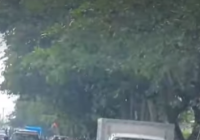 BREAKING NEWS: Diduga Mobil Tabrak Lari di Jalan Veteran, Sejumlah Warga Mengalami Luka