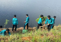 1.000 Pohon Bakal Hijaukan Waduk Benua Tengah Takisung