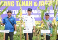 Bupati Banjar Hadiri Panen Raya Desa Gunung Ulin