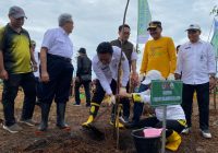 1.836 Pohon Ditanam di HKm Sukamaju Banjarbaru