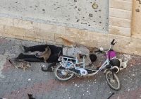 WHO Sebut Krisis Medis di Gaza,12.000 Pasien Perlu Dievakuasi