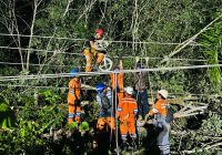 Semangat Sukseskan Pesta Demokrasi Tak Terbendung, PLN Cepat Atasi Gangguan Kelistrikan di Bontang