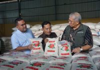 Harga Beras Capai Rp 18 Ribu, Dirut Bulog Cek Persawahan