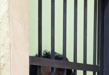 Pukul Kepala Korban dengan Besi, MI Mendekam di Balik Jeruji