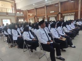 Pemprov Kalsel Dapat Formasi 1.989 PPPK dari Kemendikbud