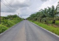 PUPR Kalsel Prioritaskan Perbaikan Jalan Rusak di Anjir Pasar Batola
