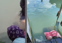 Balita Tenggelam di Alalak, Ibu Korban Sempat 'Ritual' Tepuk-tepuk Air dan Ceburkan Bantal ke Sungai