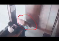 Saat Asyik Main Hp Rumah Bocah Dimasuki Macan Tutul, Reaksi Bocah Bikin Kagum