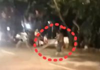 Pria Mengamuk di Jalan Veteran Banjarmasin Jadi Sasaran Warga