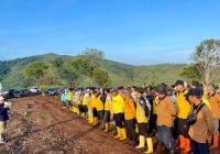 Pulihkan Lingkungan, Ribuan Bibit Gamal Ditanam di Gunung Pamaton
