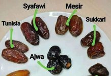 Tak Banyak Yang Tahu Jenis-jenis Kurma dan Manfaatnya