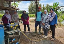 Harga Cabai Rp 90 Ribu per Kilogram, Petani Desa Tungkaran Bersyukur
