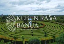 Kebun Raya Banua Usulkan Pembangunan Jalan dan Jembatan kepada Dinas PUPR Kalsel