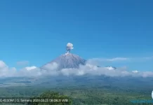 Gunung Semeru Erupsi Sebanyak 3 Kali, Dampak Gempa Tuban?