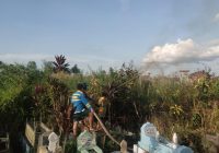 Kebakaran Lahan di TPU Muslimin Dekat Masjid Jami Banjarmasin