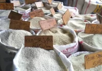 Ombudsman RI Curigai Beras Masih Mahal Karena Stabilitas Pasokan dan Harga Pangan Diakali
