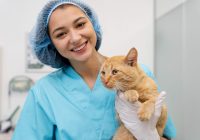 Ini Ide Usaha di Bulan Ramadan Buat Menambah Cuan Modal Lebaran (3)