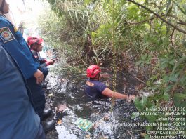 Monyet Liar Terjebak di Semak Jalan Kubah Martapura
